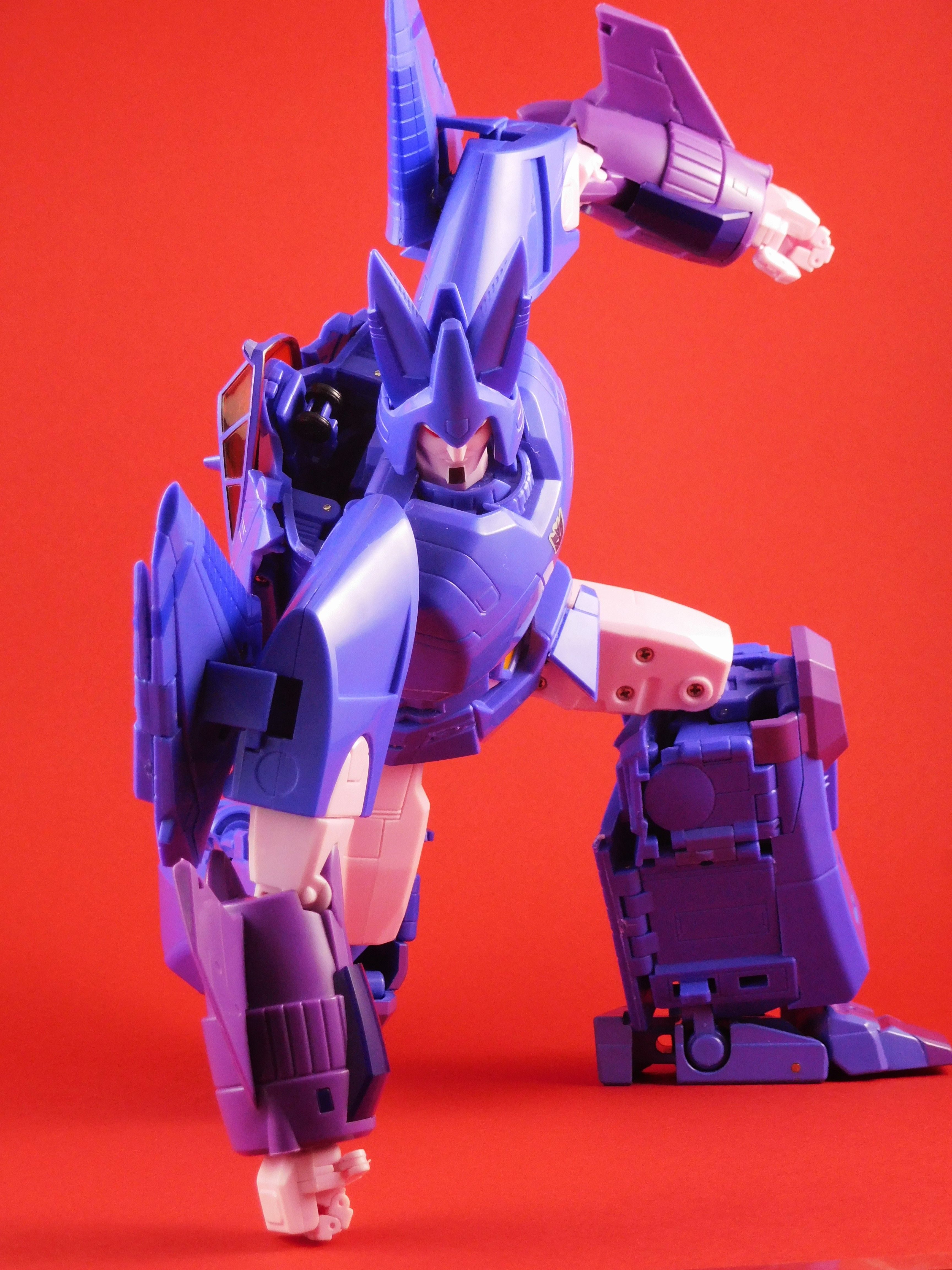 dscn6868.jpg