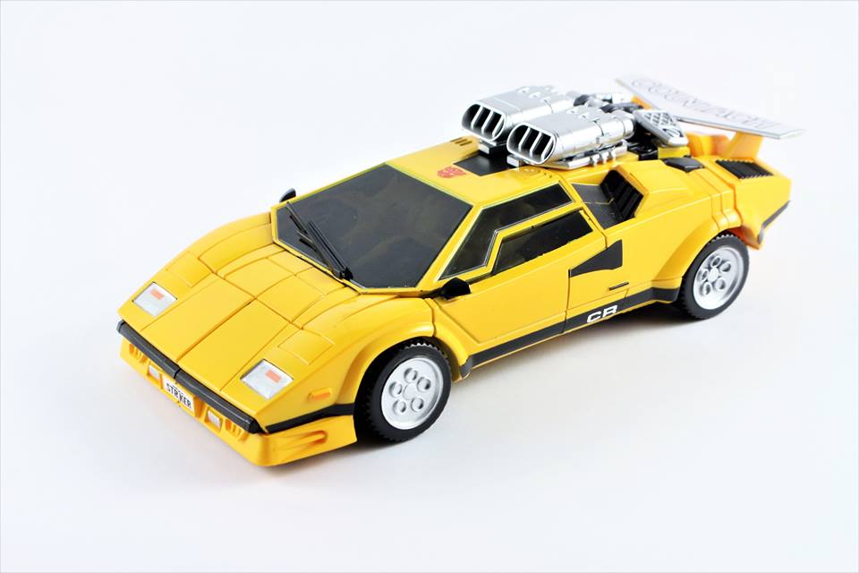 sunny1.jpg