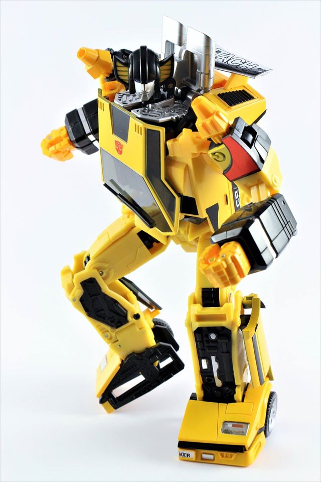 sunny4.jpg