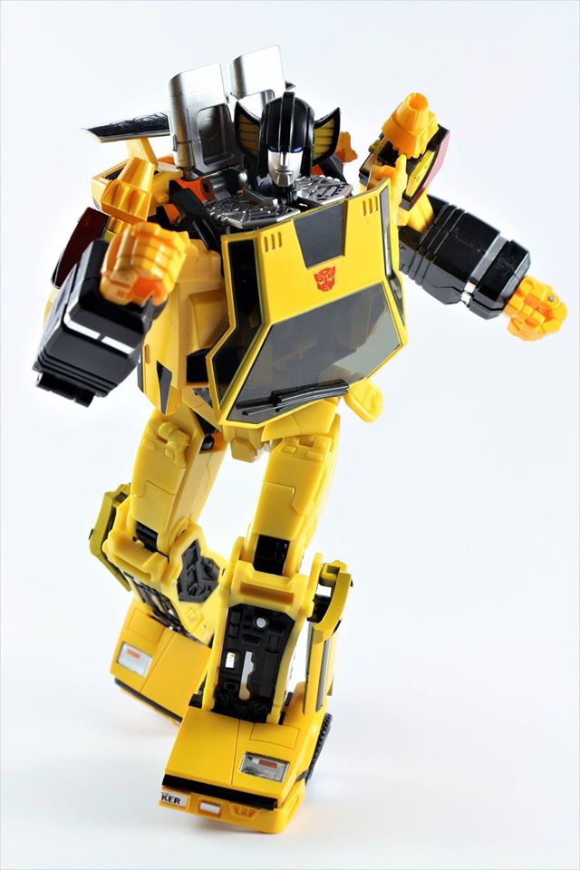 sunny5.jpg