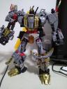 volcanicus