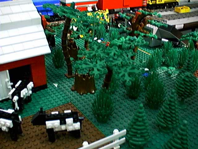 vlc010804xan0122.jpg