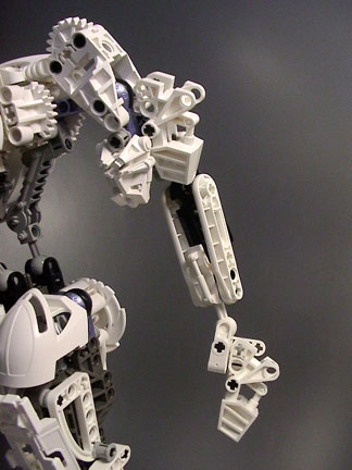 adamarm.jpg
