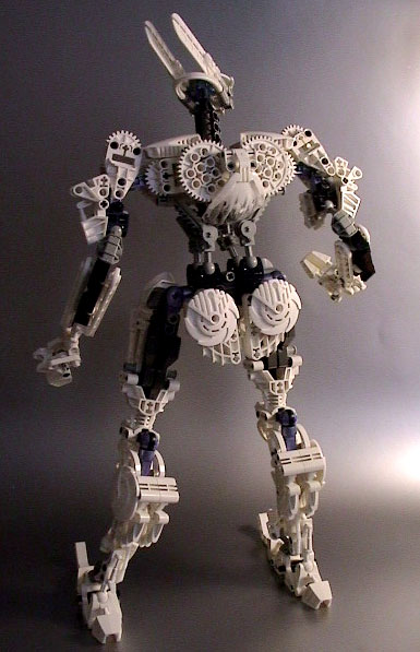adamfullback.jpg