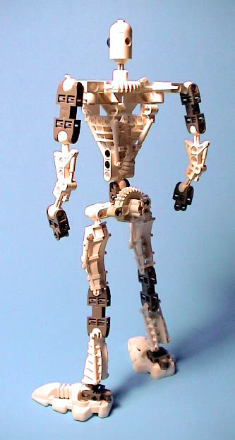 armature34back.jpg