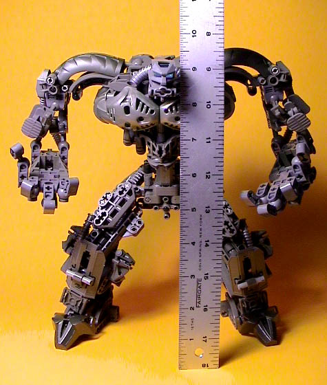 herc2rulerheight.jpg