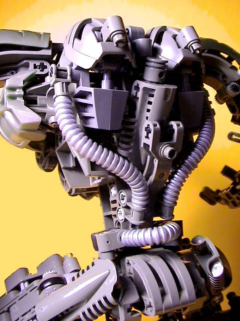 hercbackdetail.jpg