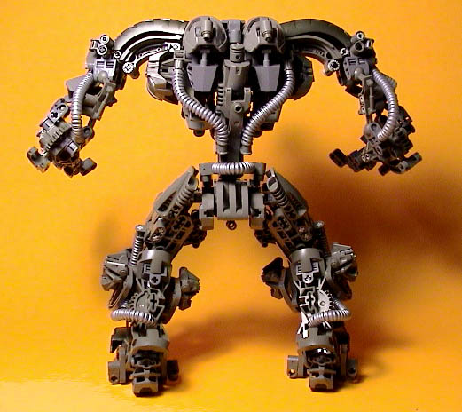 hercbackfull.jpg