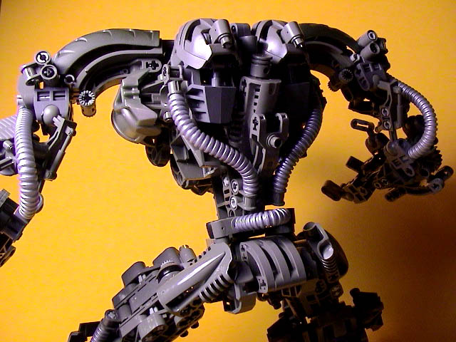hercbackmeddetail.jpg