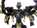 obfgoldbackdetail.jpg