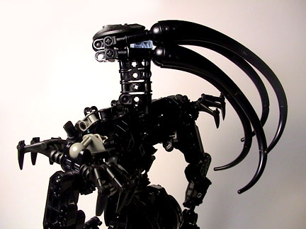 eve-backtop2.jpg