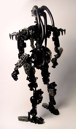 eve-fullback1.jpg