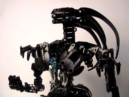 eve-topbody1.jpg