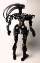 eve-fullback2.jpg