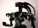 eve-topbody1.jpg