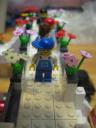 img_7372.jpg