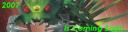 banner.bmp