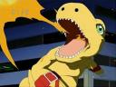 Digimon
