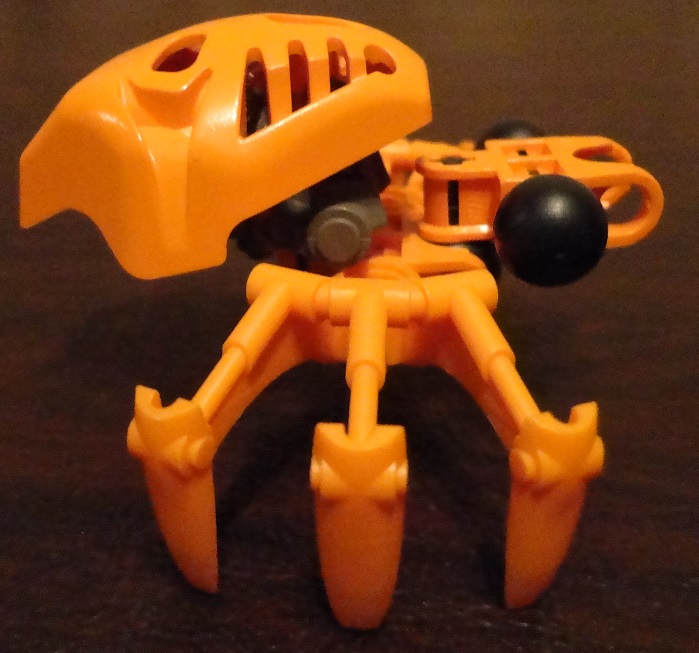 orangefikouright.jpg