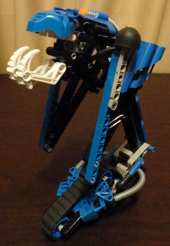 bluetarakavaangle.jpg