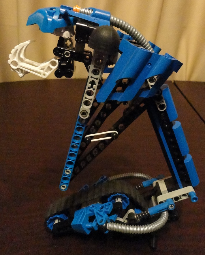bluetarakavaleft.jpg