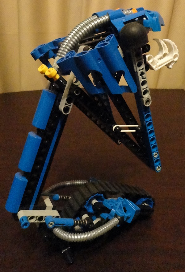 bluetarakavaright.jpg