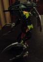 dsc07980.jpg