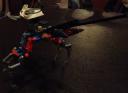 dsc07959.jpg