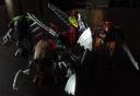 dsc08098.jpg