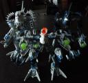 dsc08073.jpg