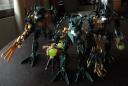 dsc08074.jpg