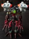 Protodax