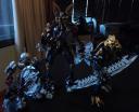 dsc08110.jpg