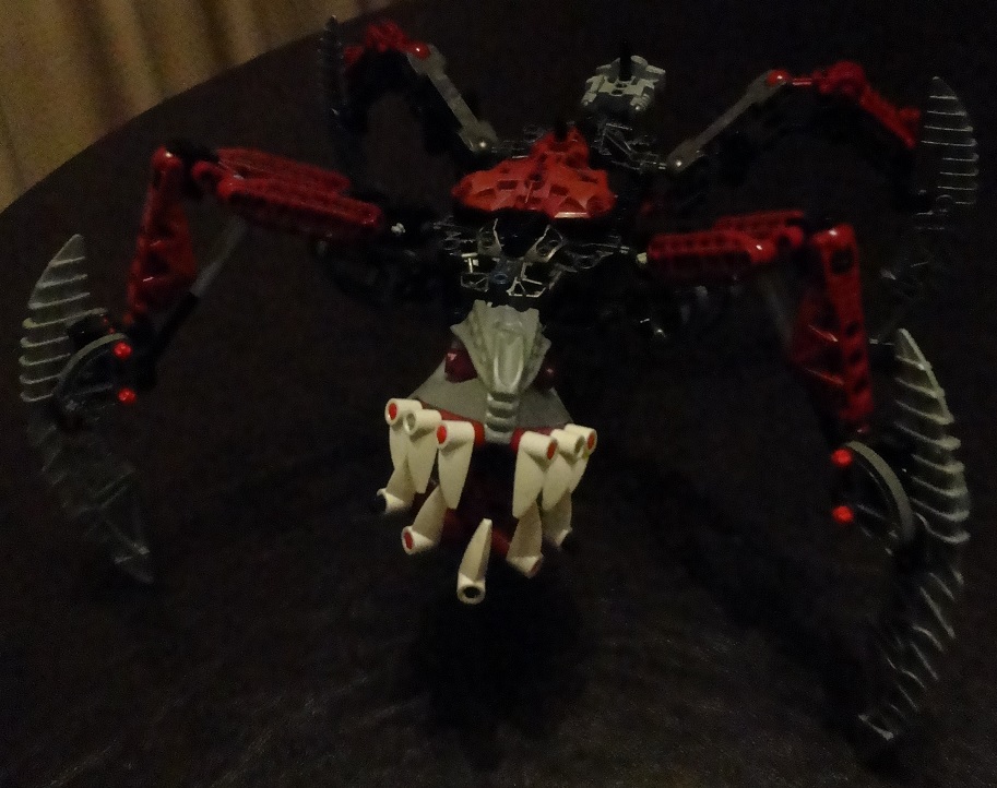dsc08113.jpg