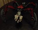 dsc08113.jpg