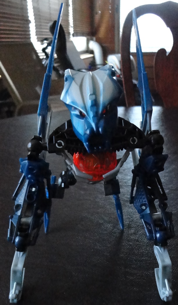 dsc08275.jpg
