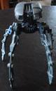 dsc08312.jpg