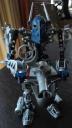 Gali