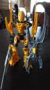 dsc08410.jpg