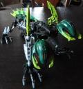 dsc08434.jpg
