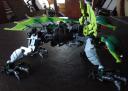 dsc08435.jpg