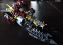dsc08429.jpg