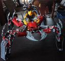 dsc08445.jpg