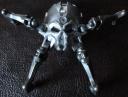 Skull-Spiders