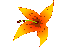 flower.png