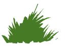 grass_2.png