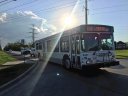 8467.jpg