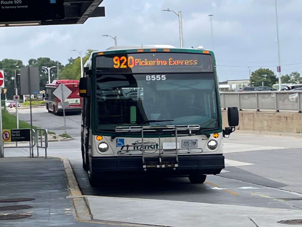 8555.JPG
