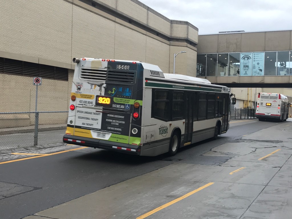 8585-1.JPG