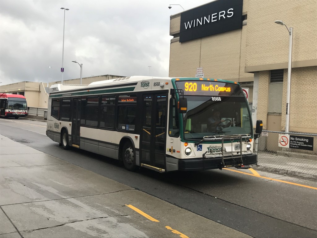 8585.JPG